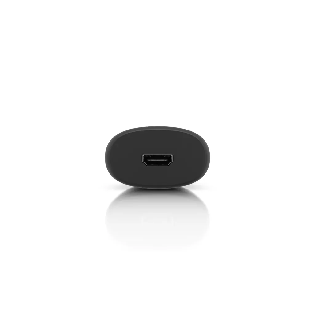 Display Cast Pro vista 4